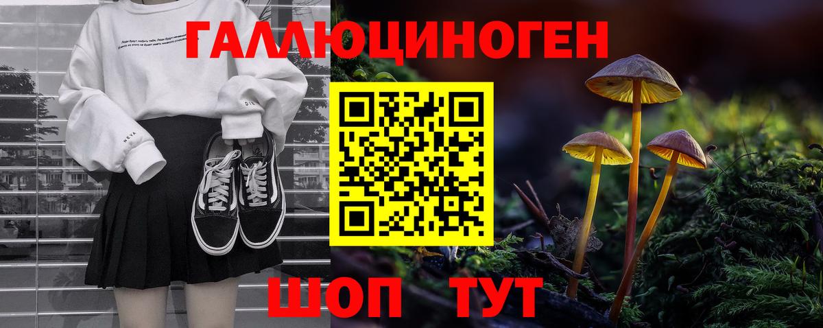 закладка  Псилоцибиновые грибы мухоморы  Тара  Вход с VPN  Галлюциногенные грибы мухоморы 