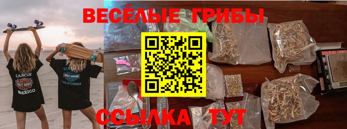 Галлюциногенные грибы MAGIC MUSHROOMS Тара